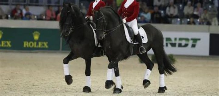 Unveiling The Enchanting History Of Friesian Horses